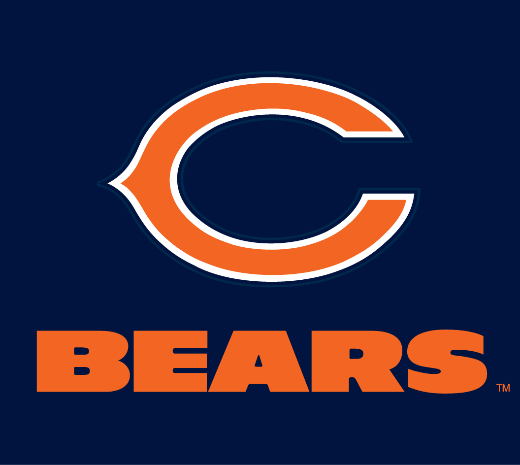 Chicago Bears 1974-Pres Wordmark Logo fabric transfer version 3